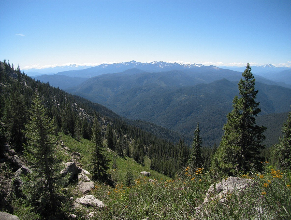 Environmental & Humanitarian